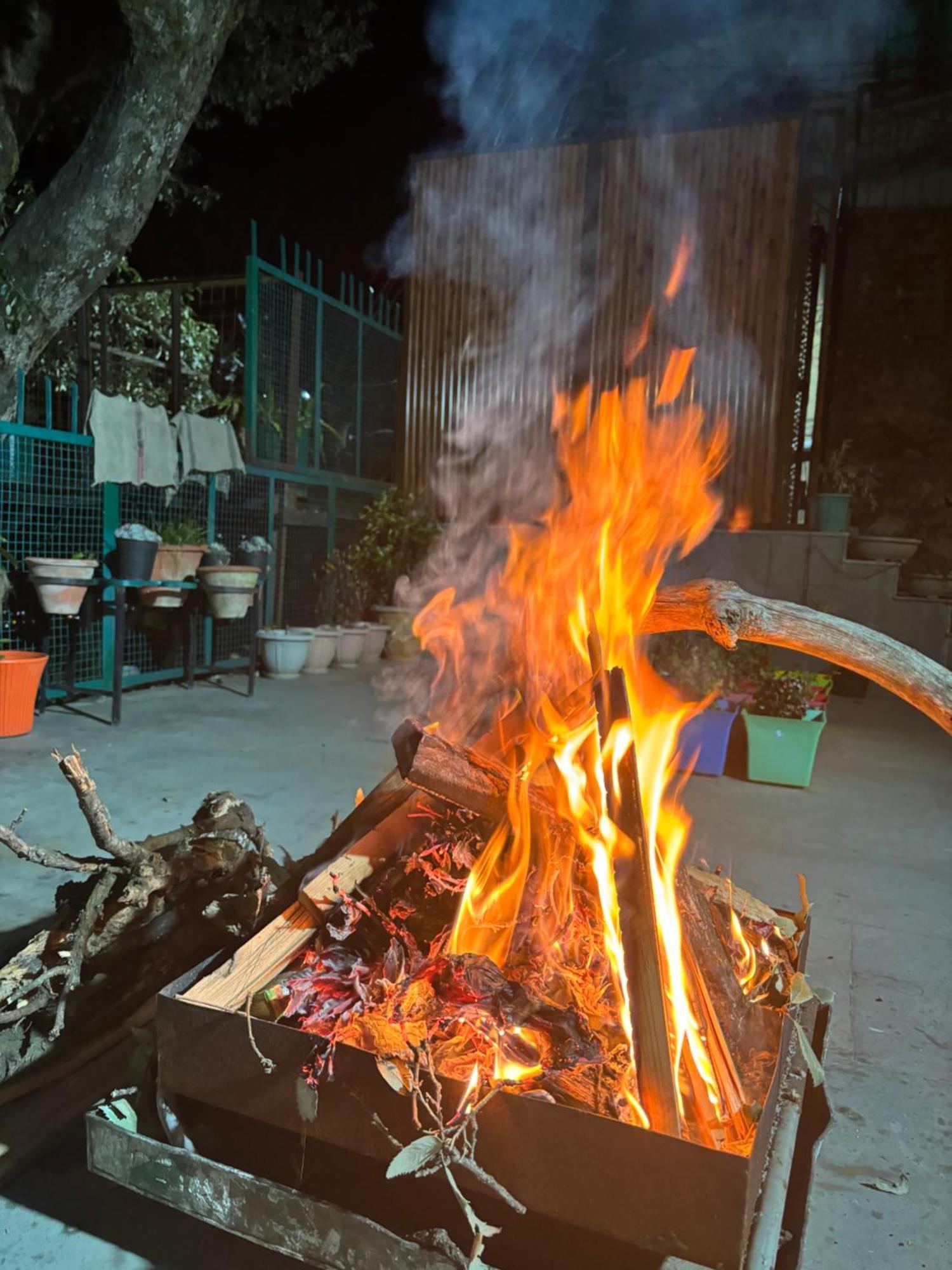 Zu-Zu Hostels شيملا المظهر الخارجي الصورة